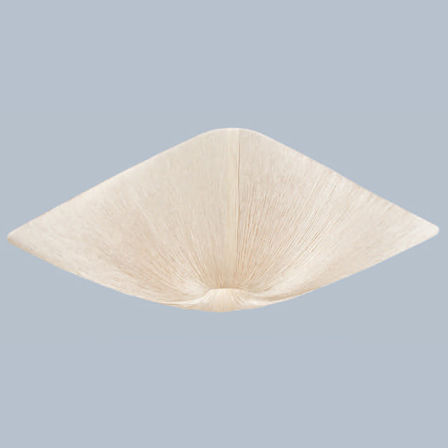 потолочный светильник Larte luce Luxo L17251.55