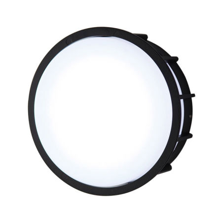 уличный настенно-потолочный светильник  Larte luce Telma L78055.31